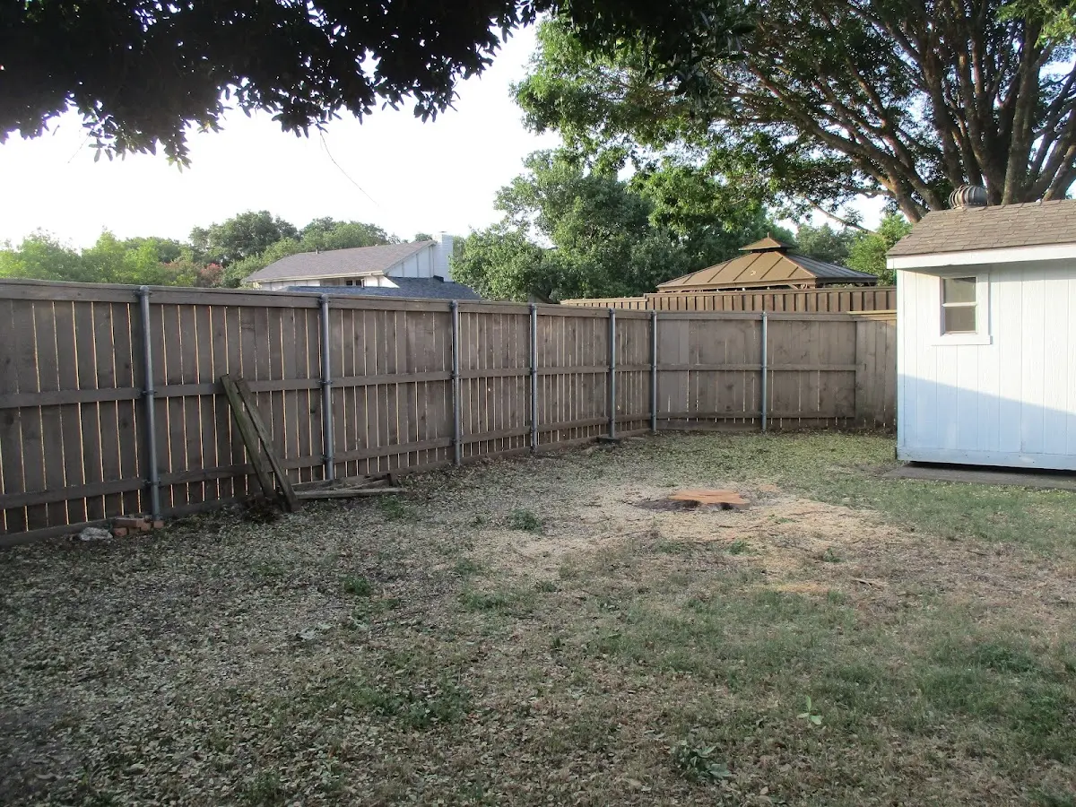 Cleared yard after professional tree removal in Clam Gulch